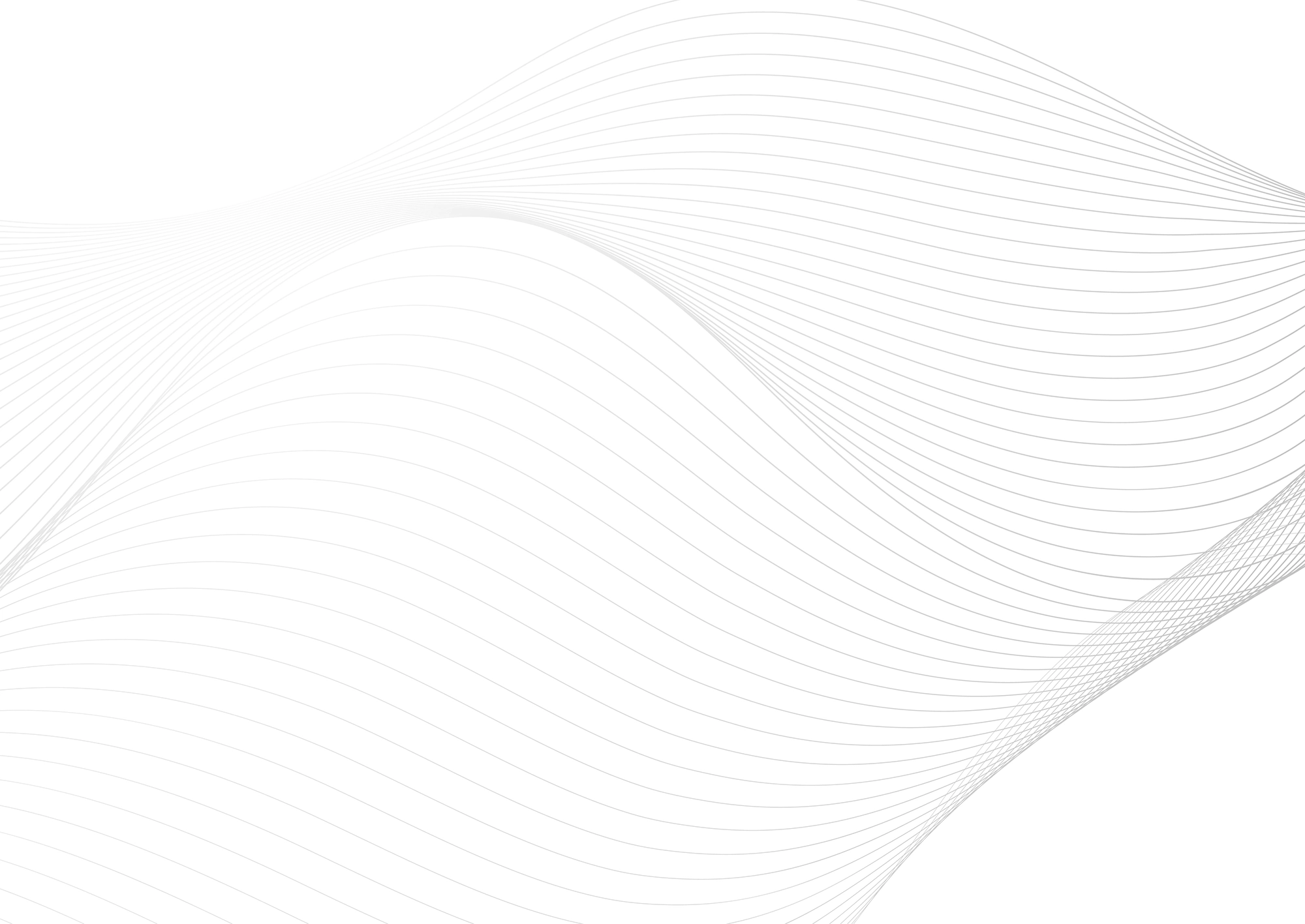 Web Site Tasarımcısı, Erbaa