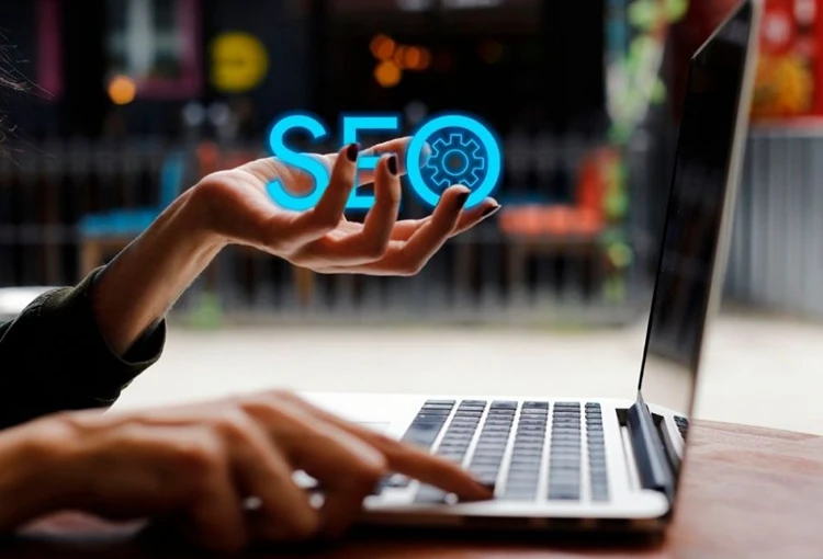 Erbaa Web Site Tasarımcı